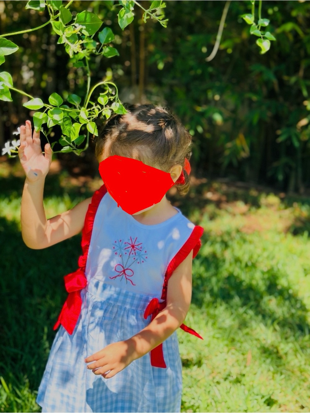 Red & Blue Gingham Kids Dress
